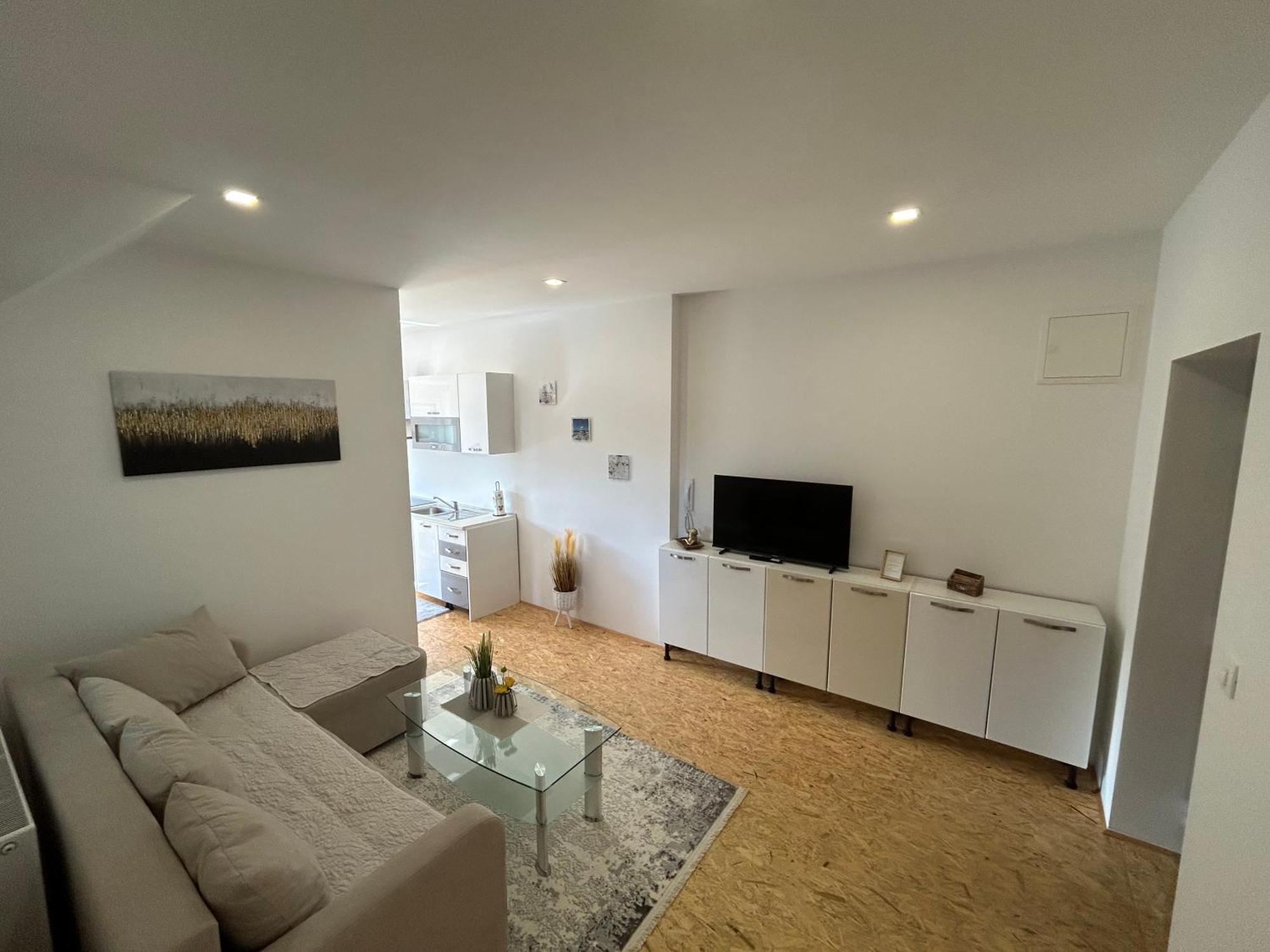 Apartment A1 Laibach